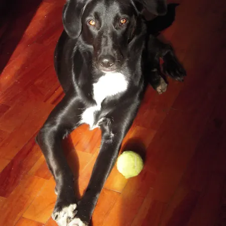 ベッド・アンド・ブレックファスト Lilith トリノ